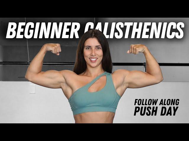 True Beginner Calisthenics Push Workout (Follow Along)