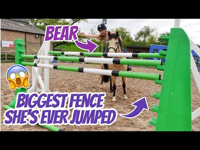 BEAR'S LAST JUMP ~ The biggest my pony has EVER jumped