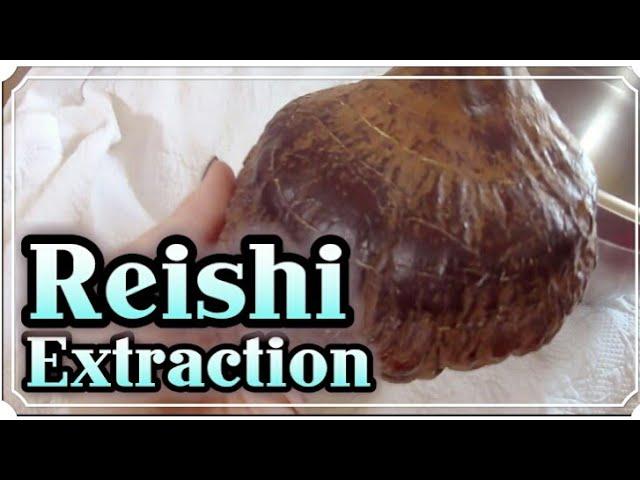 Tincturing Reishi Mushroom