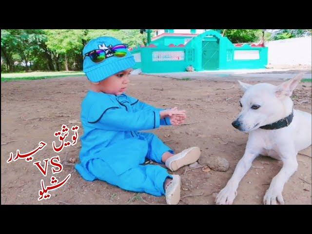 My Son Playing with Puppy Dog | My Brave Son | Baby Playing with Dog #CCFG | Haider Ali