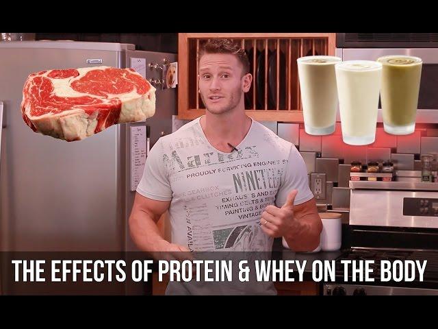 How Does Whey Protein Affect Fat Loss and Insulin - Thomas DeLauer