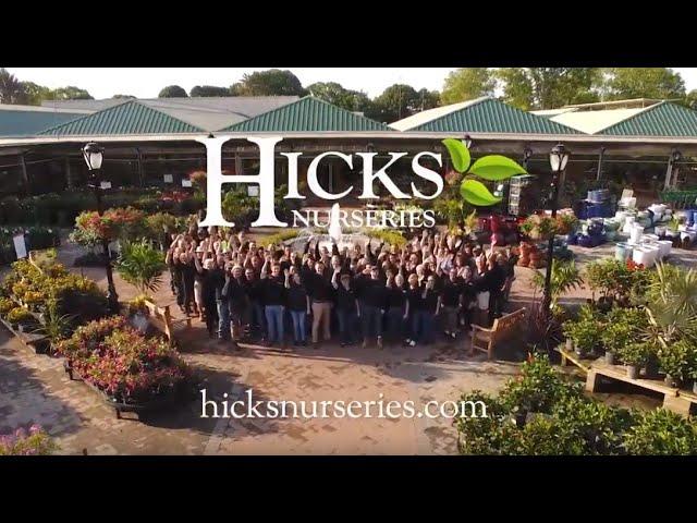 Hicks Nurseries and Landscapes |  The Largest Garden Center on Long Island | Since 1853