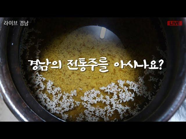 [보이는라디오] 경남의 전통주를 아시나요? l 김해 진영금병초 전국 줄넘기대회 우승 (KBS 2024.11.08 금방송)