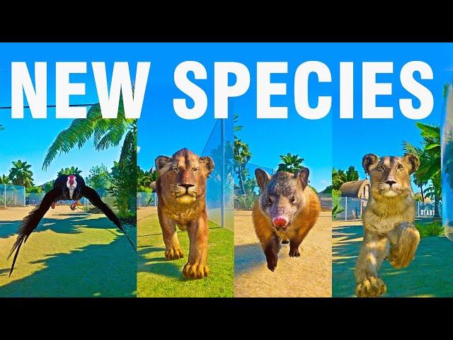 New Species Animals Speed Race in Planet Zoo included  Cave Lion, Bald Ibis, Cladosictis Lustratus,