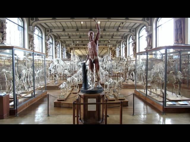 PARIS 2015 - MUSEUM NATIONAL D'HISTOIRE NATURELLE