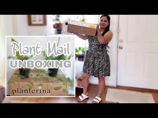 NEW PLANTERINA PLANT HAUL & FIRST IMPRESSIONS | FIRST TIME PLANTERINA UNBOXING | PLANT MAIL