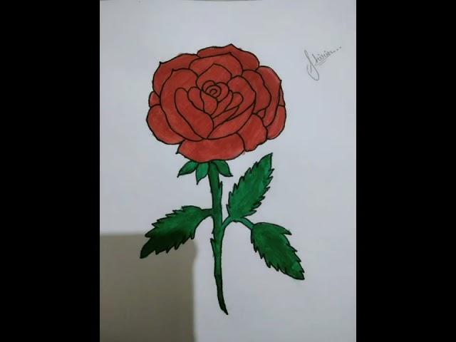 Rose Drawing very easy#shorts#trending#Shi'sArts