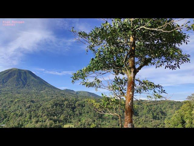 Wisata Alam WELU Tomohon 2021 by olga