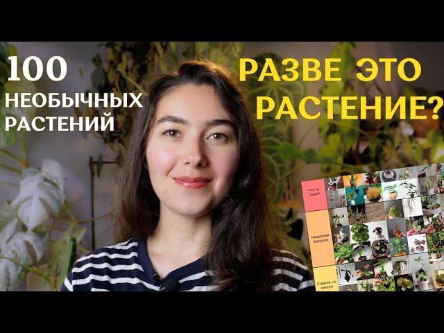 УРОДЛИВЫЕ, утончённые, РЕДКИЕ, не похожие на РАСТЕНИЯ | 100 необычных растений ОТ ПОДПИСЧИКОВ