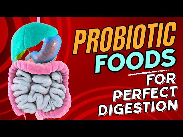 Amazing Probiotic Foods That Will Make Your Digestion Effortless!