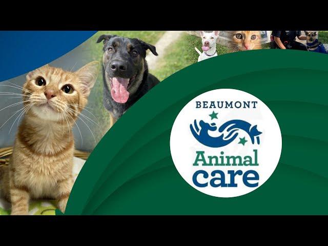 Beaumont Animal Care | City of Beaumont, TX