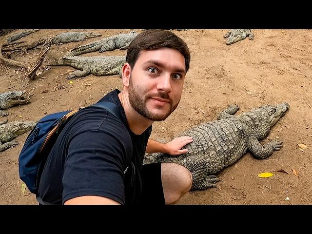 Acariciando COCODRILOS en Gambia