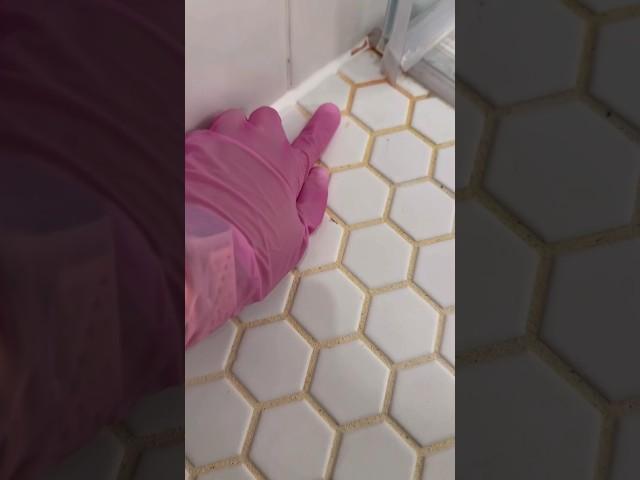 Mold Cleaning #trending #cleaning #clean #shower #mold #youtubeshorts