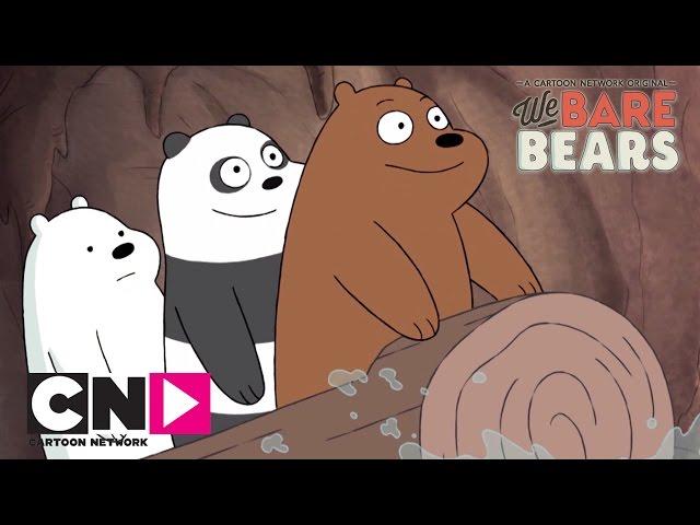 На бревне | Вся правда о медведях | Cartoon Network