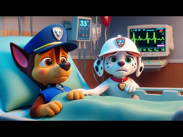 Paw Patrol The Mighty Movie | CHASE Got Sick! Please Get Well Soon My Friend! | Rainbow 3