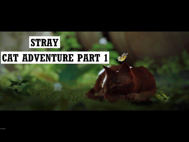 Cat adventure in cybercity part 1 - STRAY