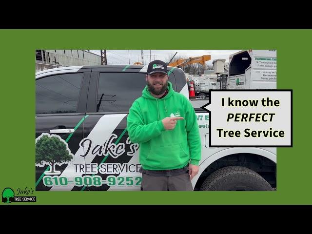 The ONLY tree service you'll ever need!