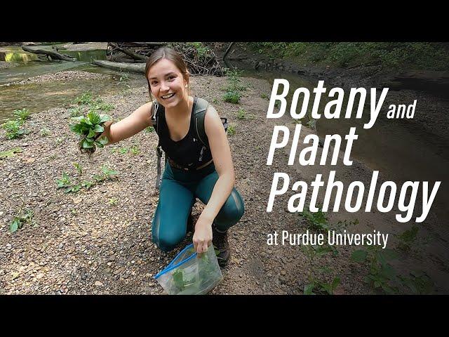 Botany and Plant Pathology : Explore the Possibilities in Purdue Agriculture