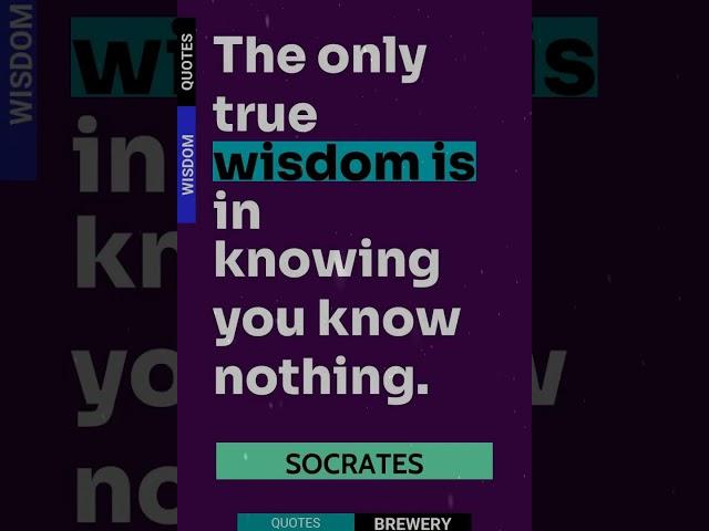 The Only True Wisdom Is In Knowing You Know Nothi... | Wisdom Quote By The Author Socrates