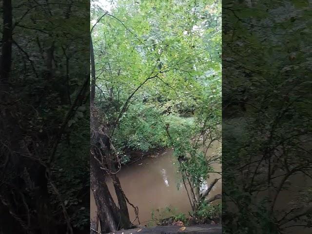 weird sounds in woods NJ while fishing might be a roster