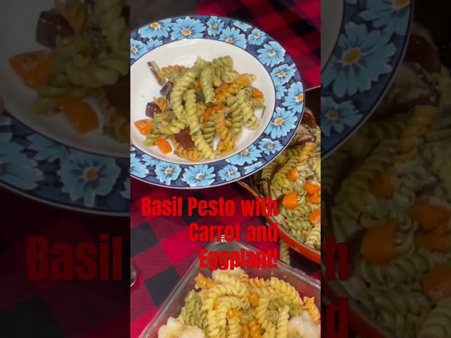 Pasta, Basil Pesto Sauce with Eggplant and Carrots! Also Parmesan Cheese!