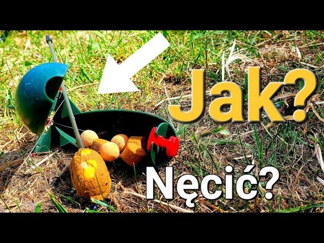 Jak i Czym Nęcić w Method Feeder?! Proste Sposoby! Wędkarstwo Feederowe!