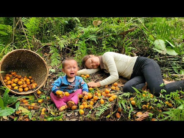 Single mother: harvest natural fruits to sell - grow taro - build a new life