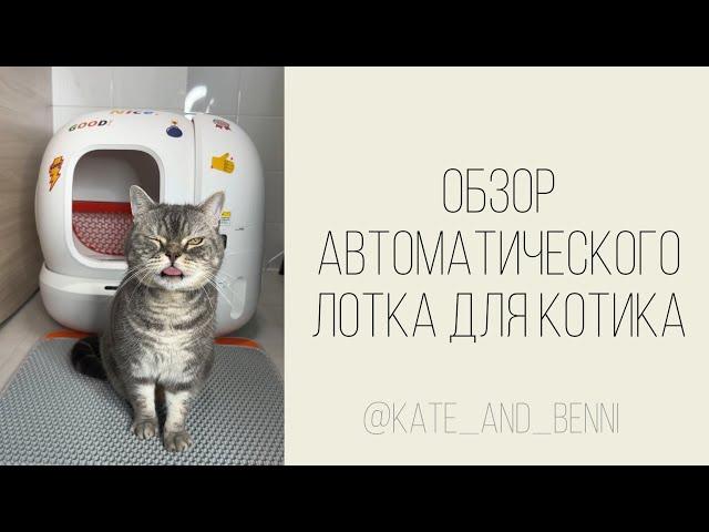 Обзор автоматического лотка для кошек