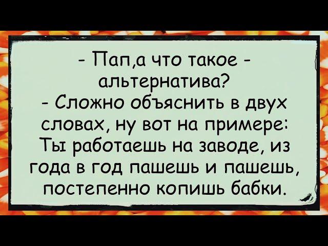  Как Отец Объяснял Сыну, что Такое АЛЬТЕРНАТИВА анекдоты юмор смех