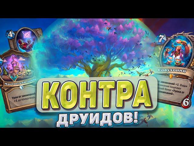 Контра друидов! Самая эффективная колода против лидера меты! l Hearthstone