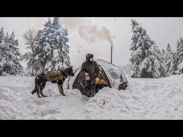 Caught in a Heavy Snowfall - Winter Camping in a Deep Snow, Hot Tent, Wood Stove, Cold Weather