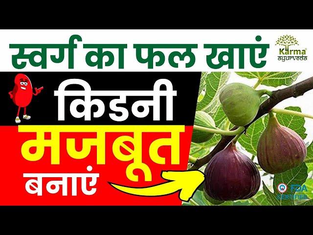 स्वर्ग का फल खाये किडनी मजबूत बनाये | Anjeer ke fayde | karma Ayurveda review | kidney diet