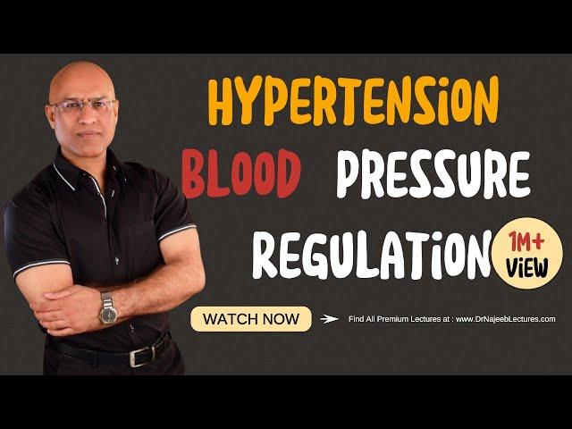 Hypertension | Blood Pressure Regulation | Hypotension