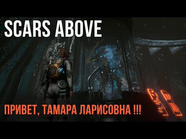 Scars Above  ПРИВЕТ, ТАМАРА ЛАРИСОВНА !!! #ScarsAbove