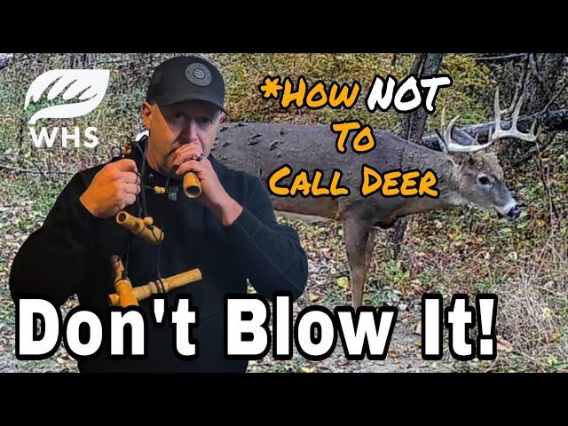 #1 Rule For Calling Deer