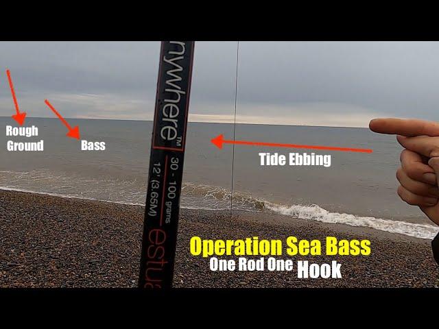 Operation Sea Bass | One Rod One Hook