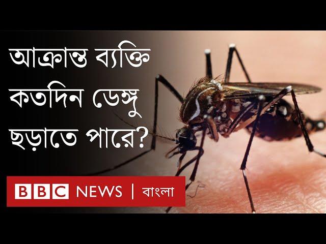 Dengue: এডিস মশা কামড়ানোর কতদিন পর ডেঙ্গু জ্বর হয়?