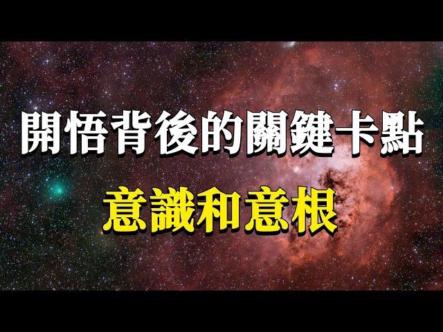 怎麼理解開悟？開悟有沒有標準？藏在開悟背後的兩個關鍵卡點：意識和意根！#能量#業力 #宇宙 #精神 #提升 #靈魂 #財富 #認知覺醒 #修行