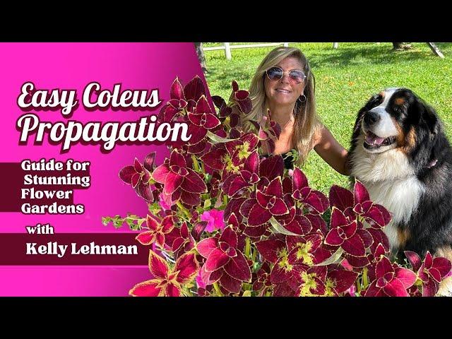 Easy Coleus Propagation Guide for Stunning Flower Gardens | Kelly Lehman