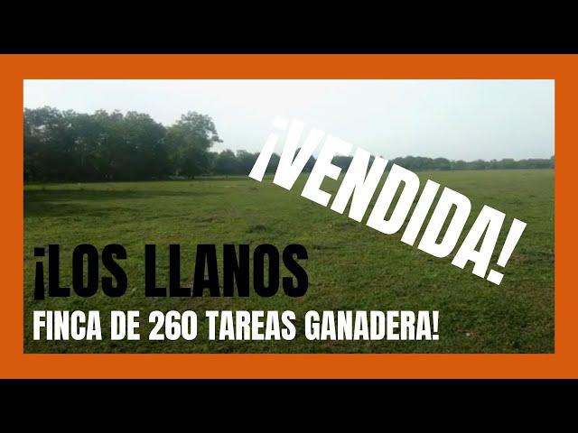 Finca de 260 tareas Con vocación Ganadera y Agrícola en los Llanos