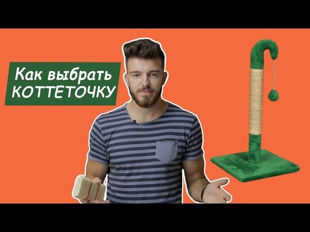 Как выбрать когтеточку для кошки?