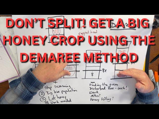 Don't Split! Get a big honey crop with the Demaree method