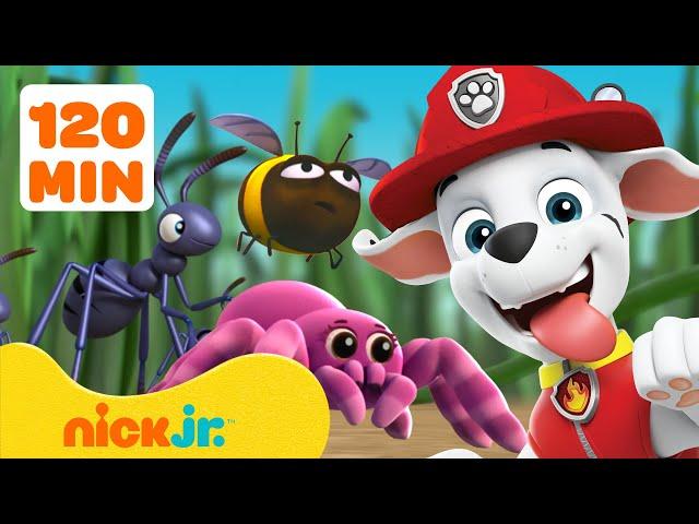 PAW Patrol Bug Rescues & Adventures!  2 Hours | Nick Jr.
