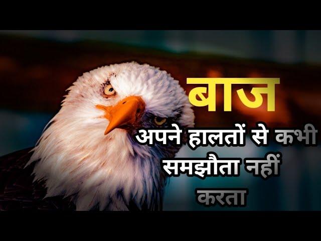 बाज mentality powerfull inspirational status || motivational status video || Ak motivation