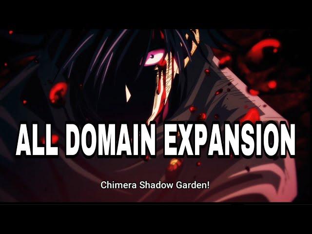 Jujutsu Kaisen All Domain Expansion