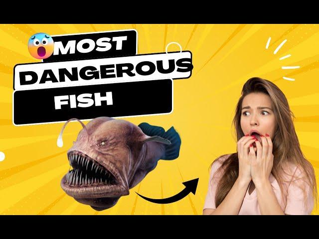 top10 most dangerous fish in the world  |Most dangerous fish in the sea