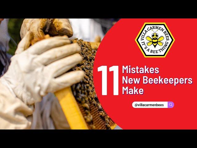 11 Beginner Beekeeping #mistakes & How To Avoid Them #beekeeping