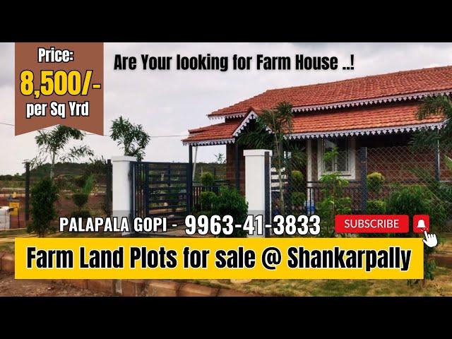 Royal Farm - Farm Plots for Sale in Hyderabad || Shankarpally || Farm land