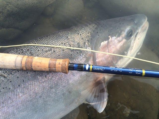 Pickle | Fly Fishing for Steelhead Film | Captain Quinn