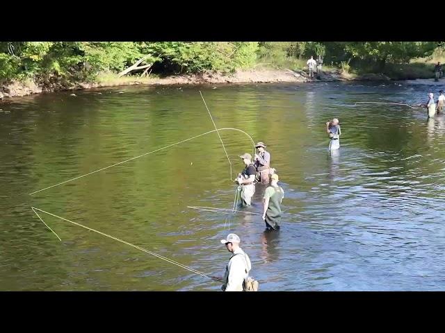 Salmon Run 2024 _ Salmon River ,NY ( lower fly Area)